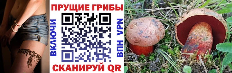 кракен сайт  как найти наркотики  Старица  Галлюциногенные грибы ЛСД 